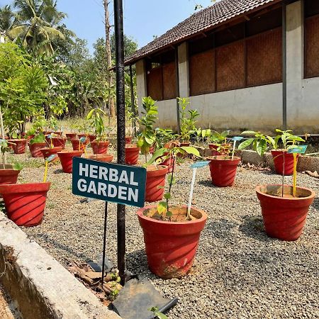 Ayuryogashram Heritage Thrissur Kültér fotó
